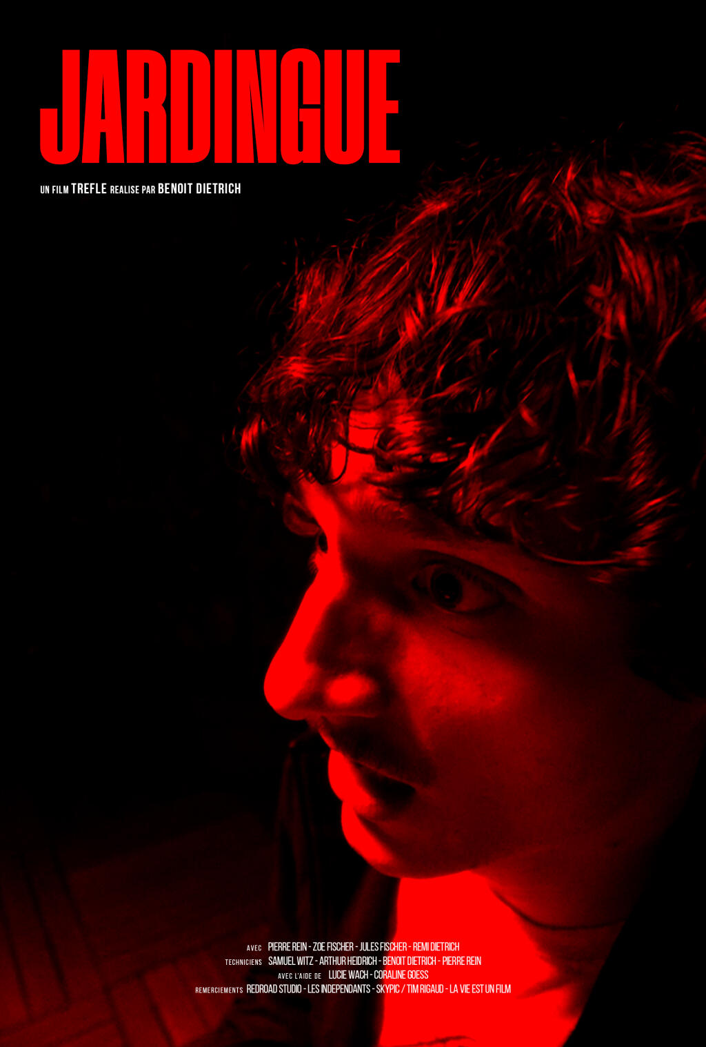 Filmposter for Jardingue